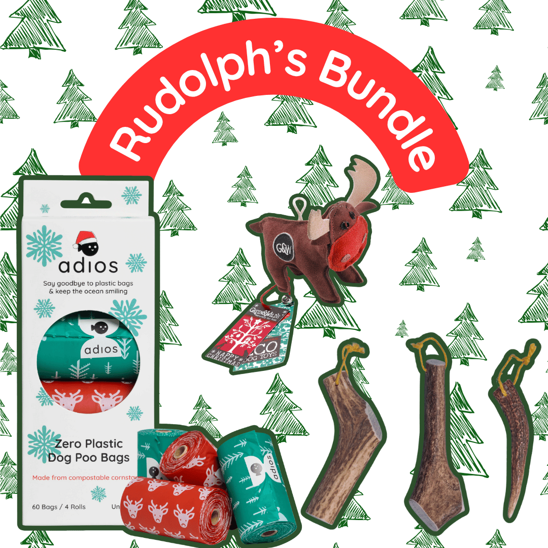 🦌 Rudolph’s Bundle