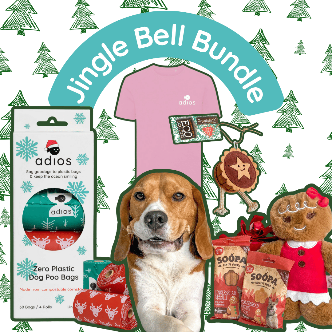 Jingle Bell Bundle (with FREE treats!)