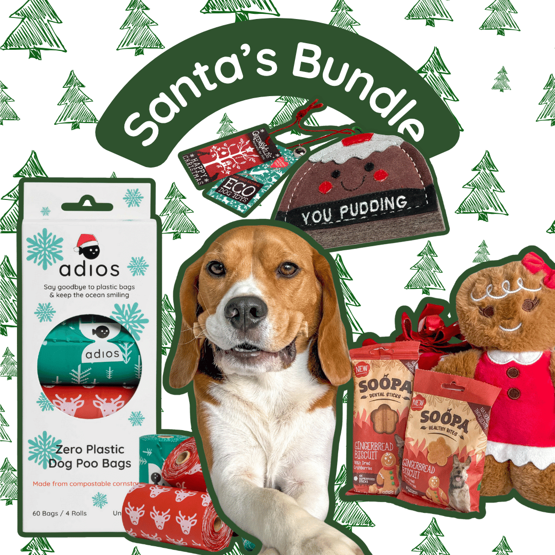 🎅🏼 Santa’s Bundle
