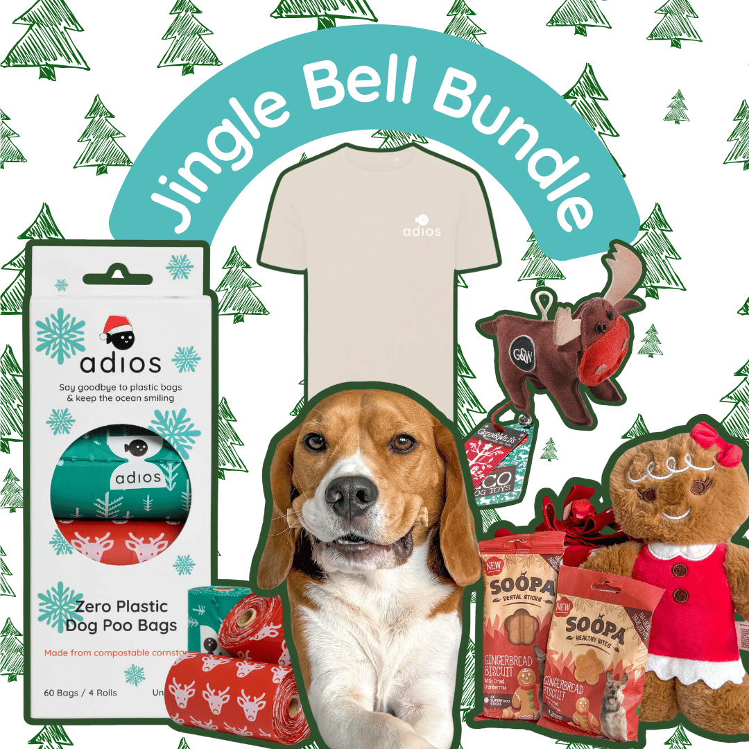 Jingle Bell Bundle (with FREE treats!)