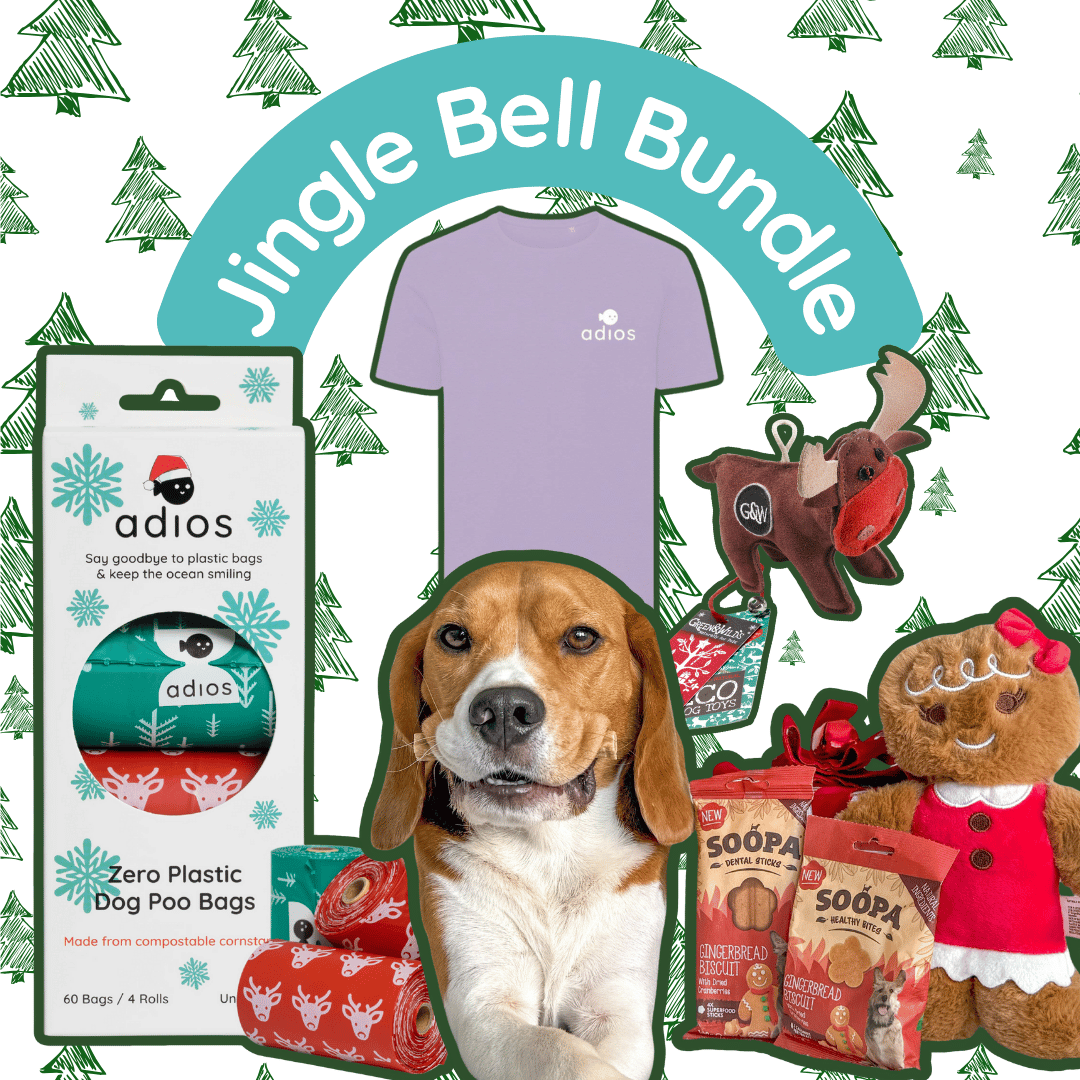 Jingle Bell Bundle (with FREE treats!)