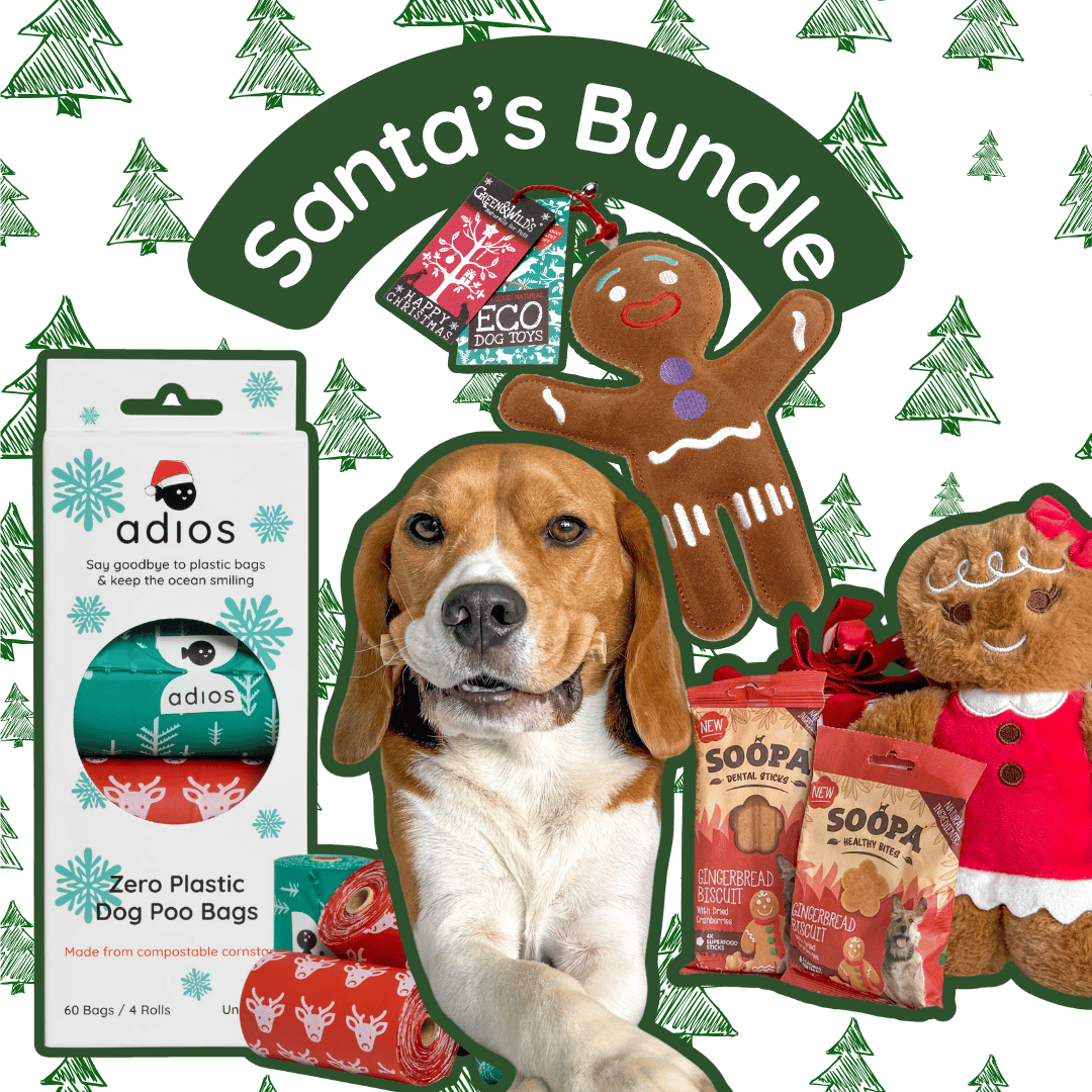 🎅🏼 Santa’s Bundle