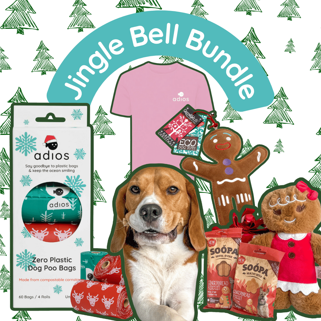Jingle Bell Bundle (with FREE treats!)