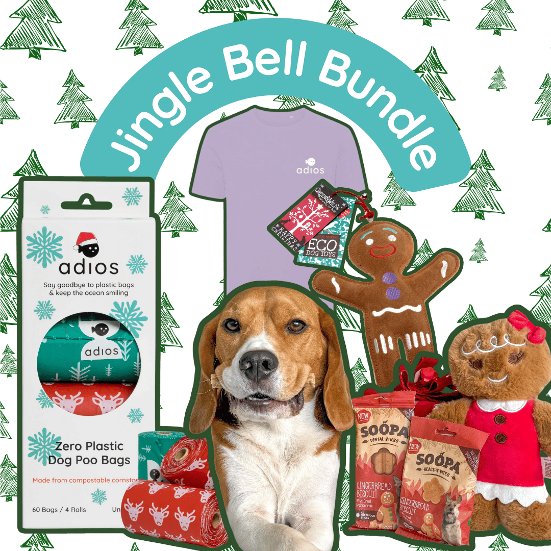 Jingle Bell Bundle (with FREE treats!)