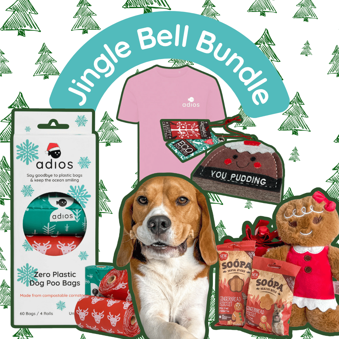 Jingle Bell Bundle (with FREE treats!)