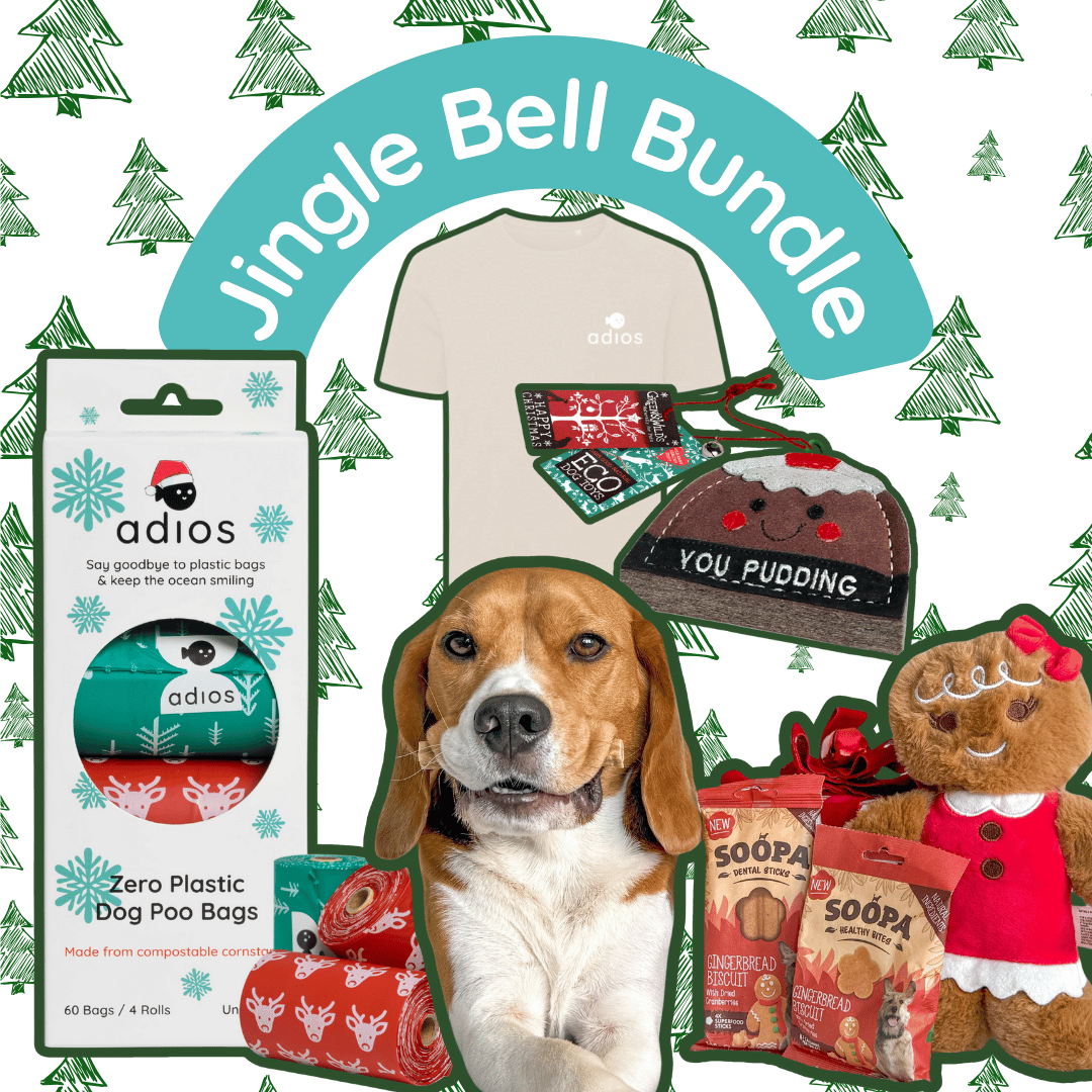Jingle Bell Bundle (with FREE treats!)