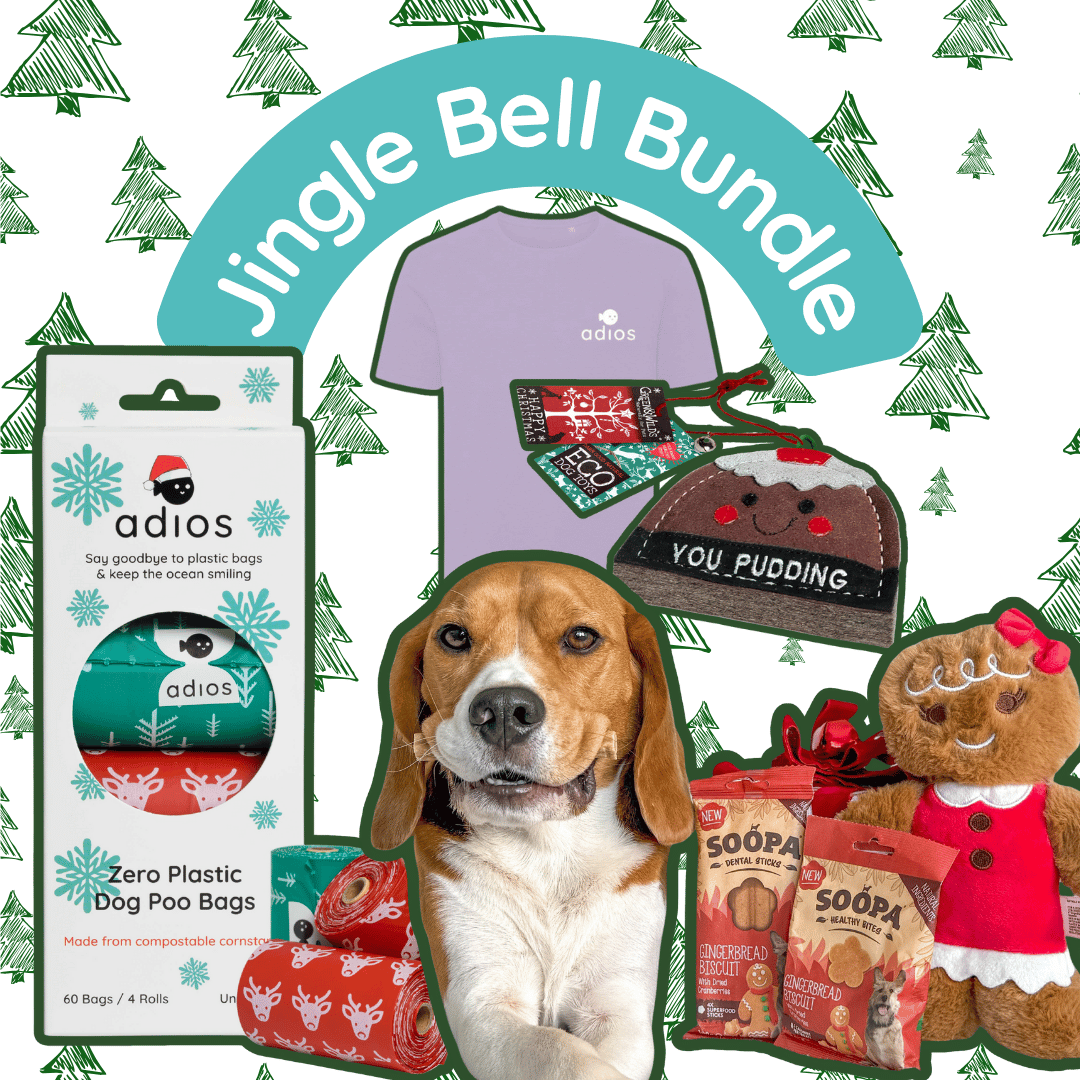 Jingle Bell Bundle (with FREE treats!)