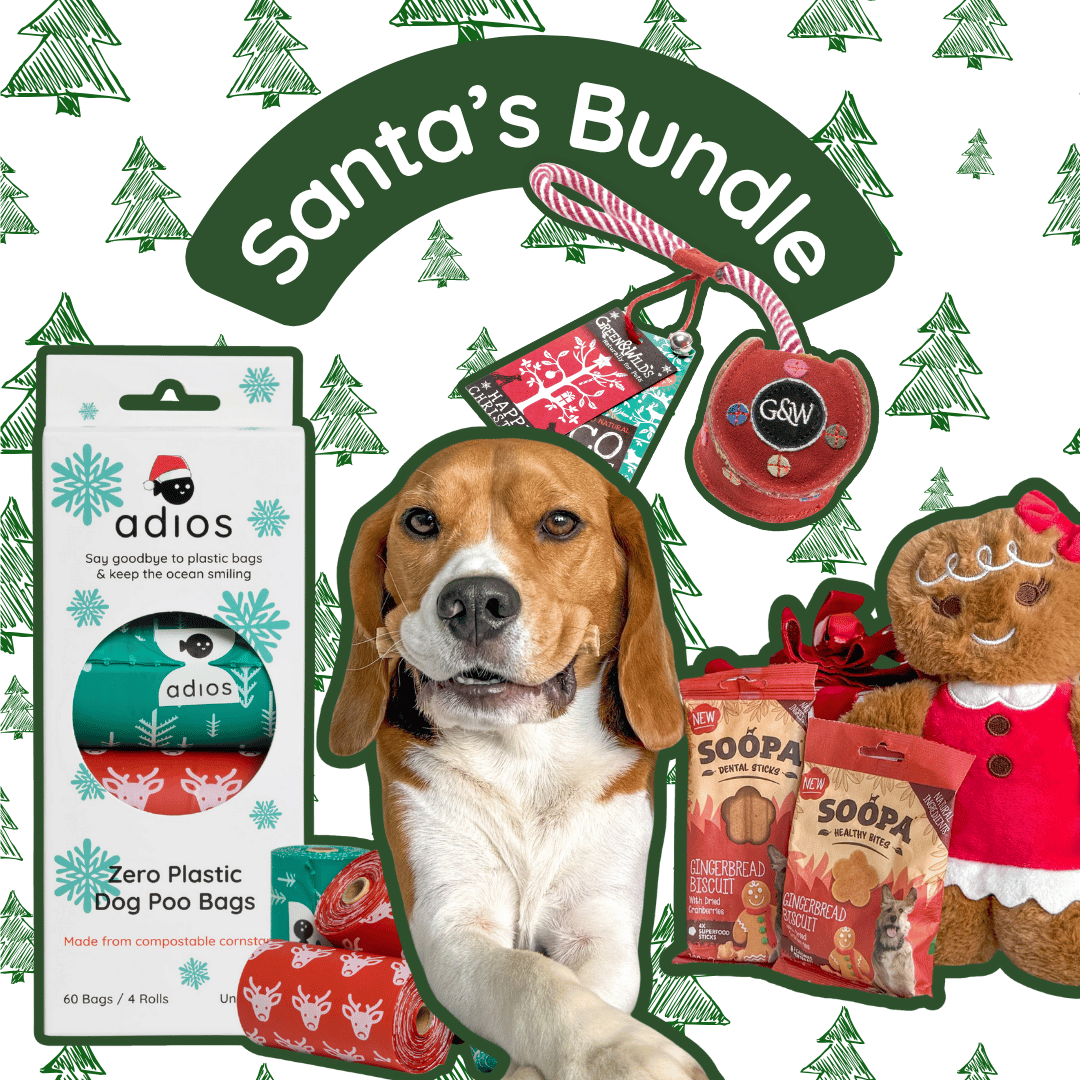 🎅🏼 Santa’s Bundle