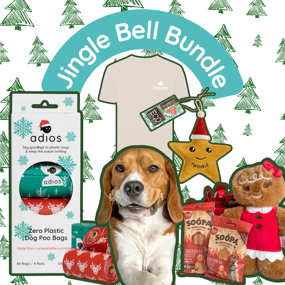 Jingle Bell Bundle (with FREE treats!)