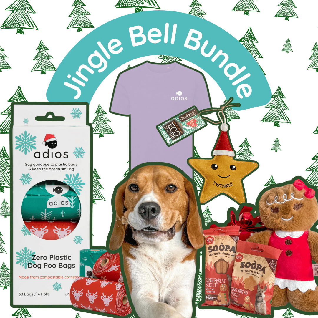 Jingle Bell Bundle (with FREE treats!)