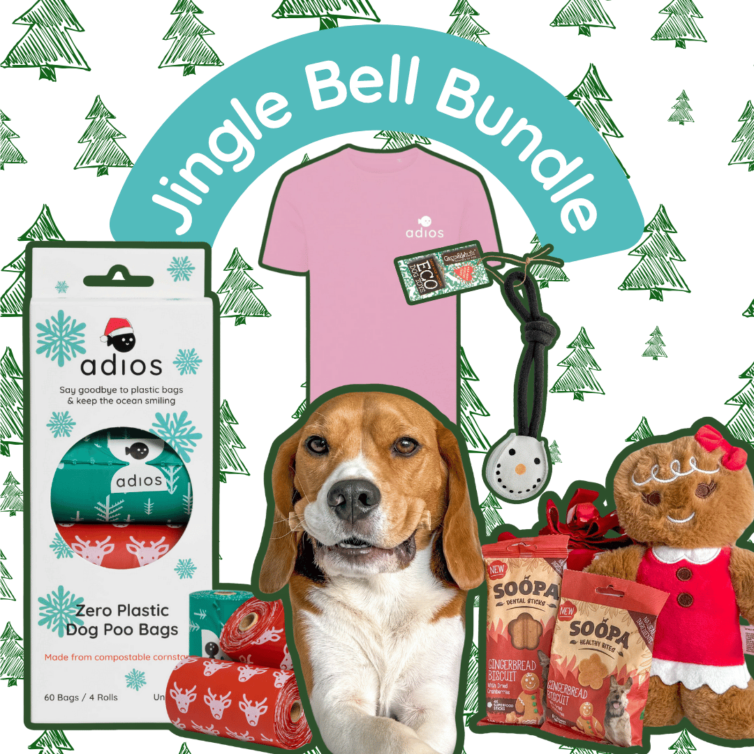 Jingle Bell Bundle (with FREE treats!)