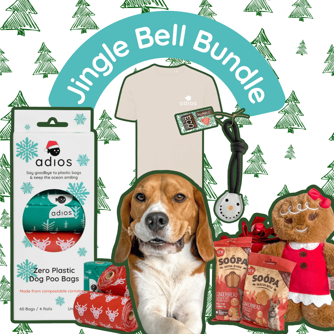 Jingle Bell Bundle (with FREE treats!)