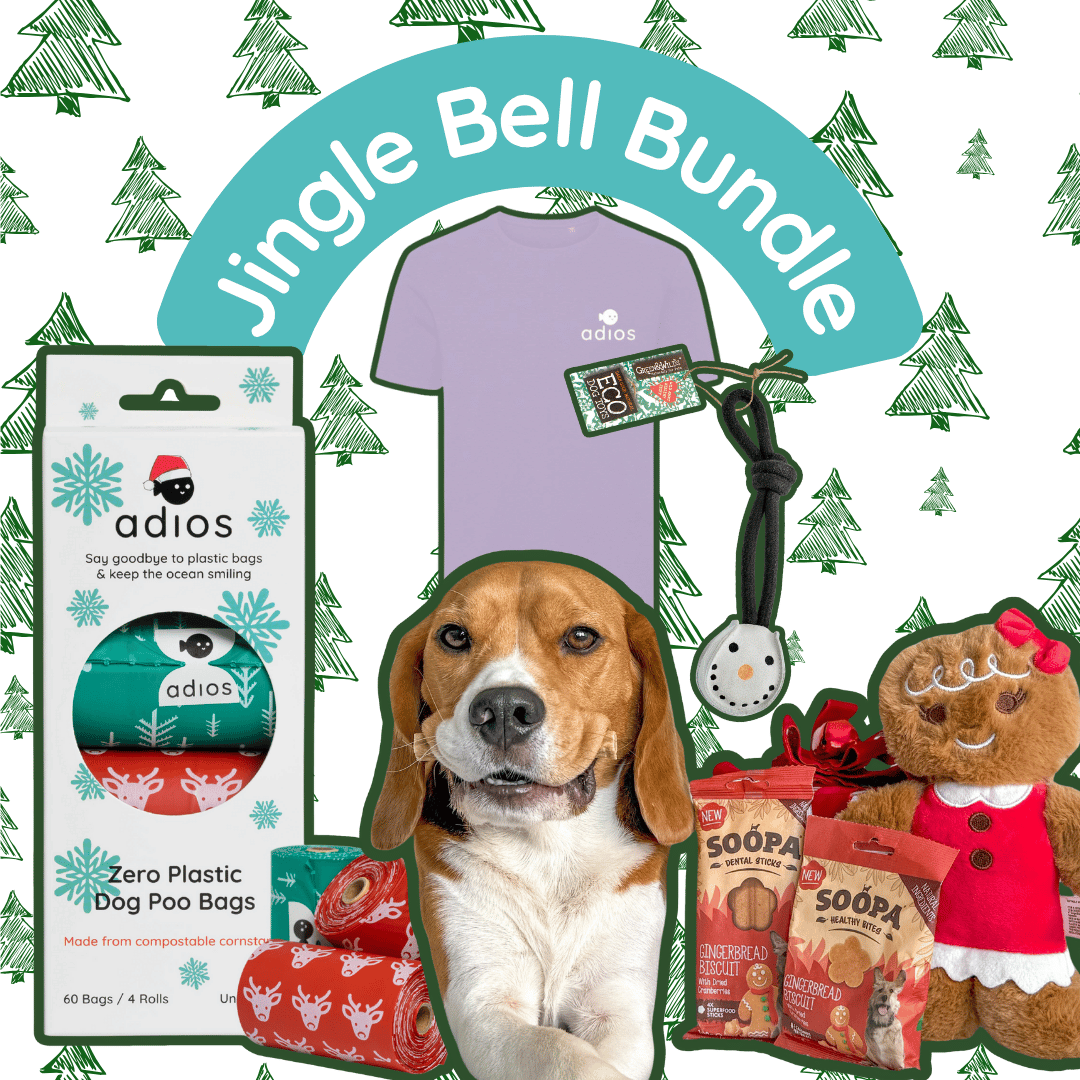 Jingle Bell Bundle (with FREE treats!)