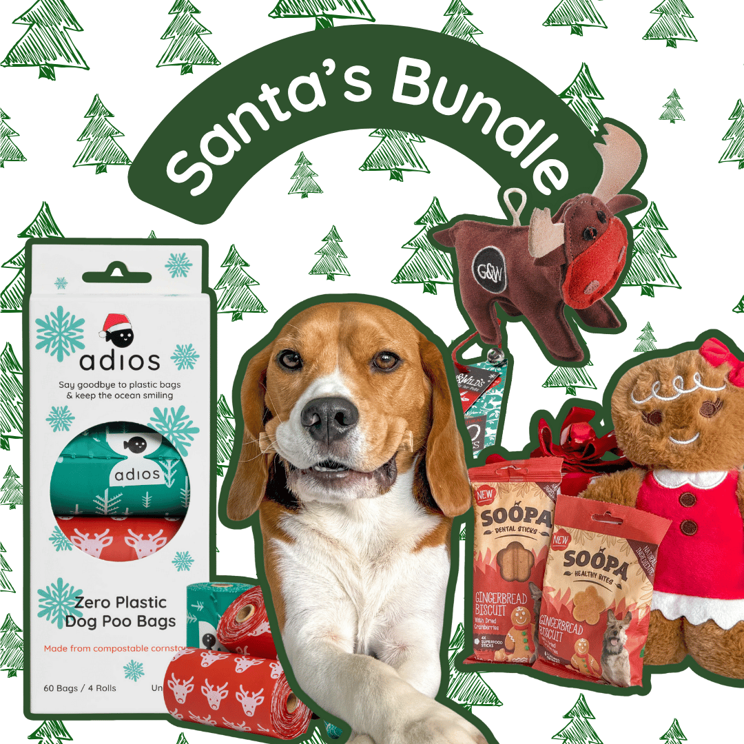 🎅🏼 Santa’s Bundle