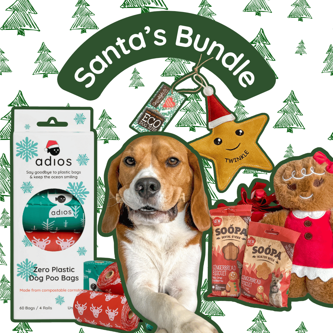 🎅🏼 Santa’s Bundle