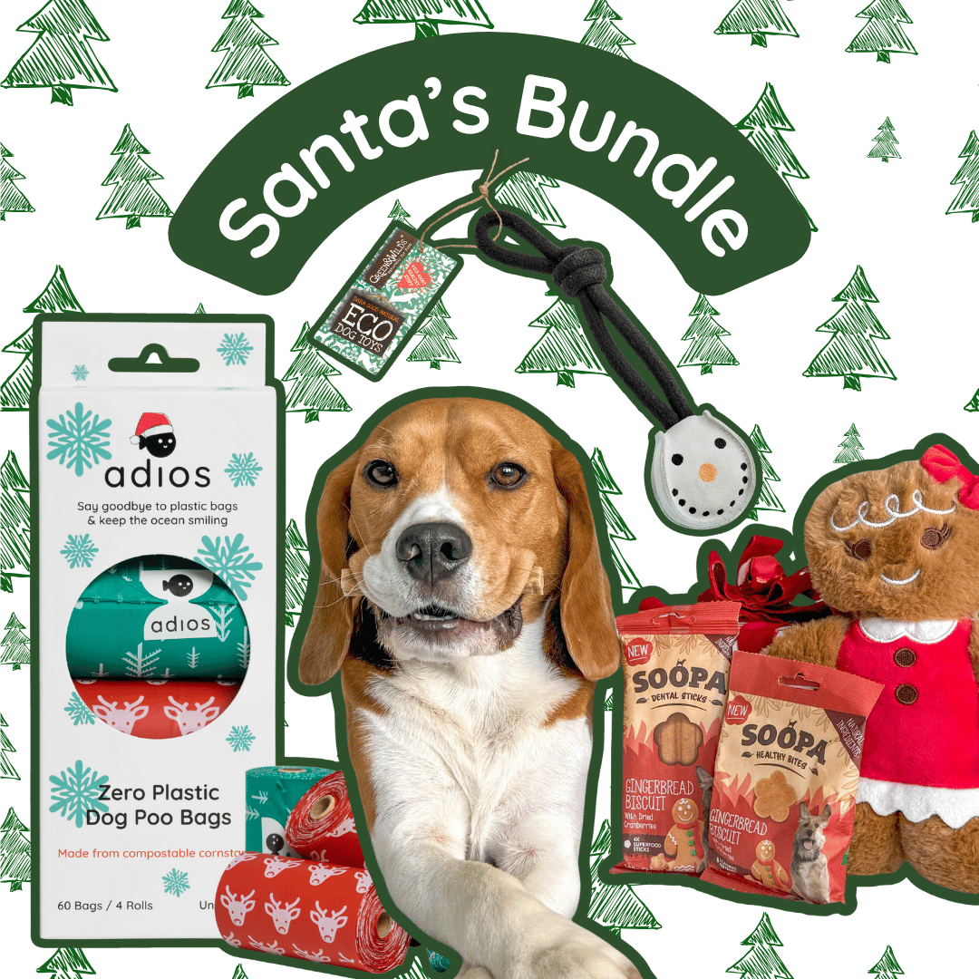 🎅🏼 Santa’s Bundle