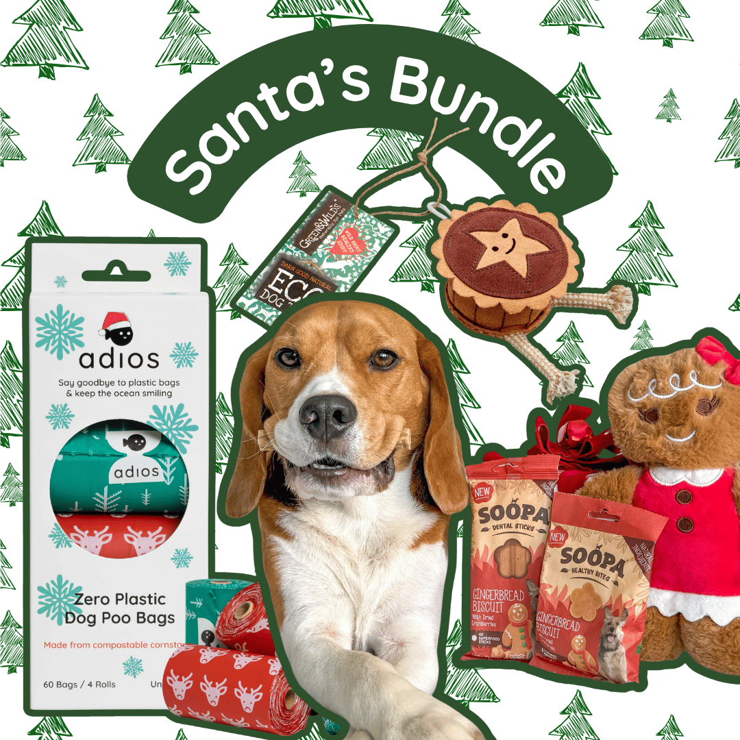 🎅🏼 Santa’s Bundle