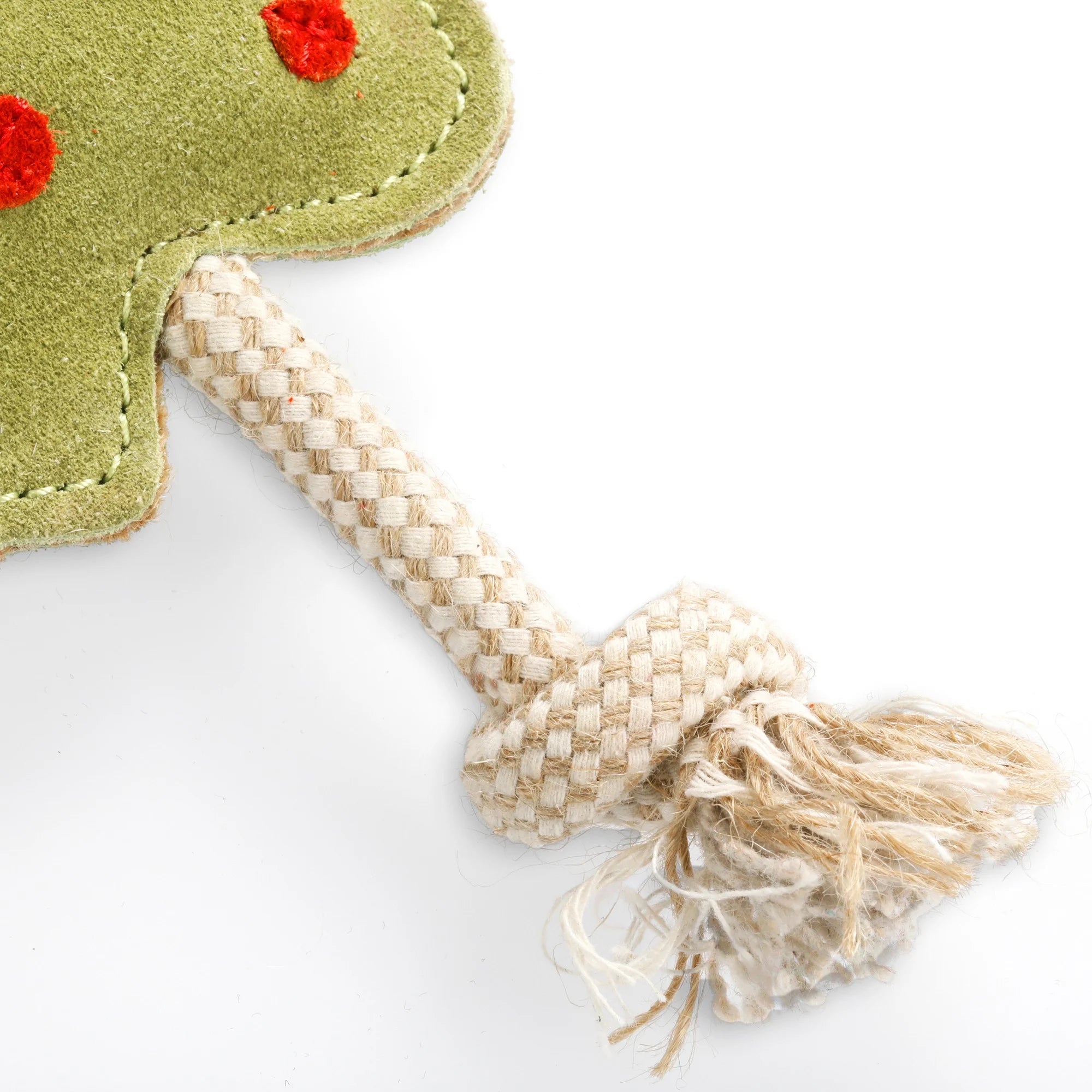 Splodge, Eco Dog Toy