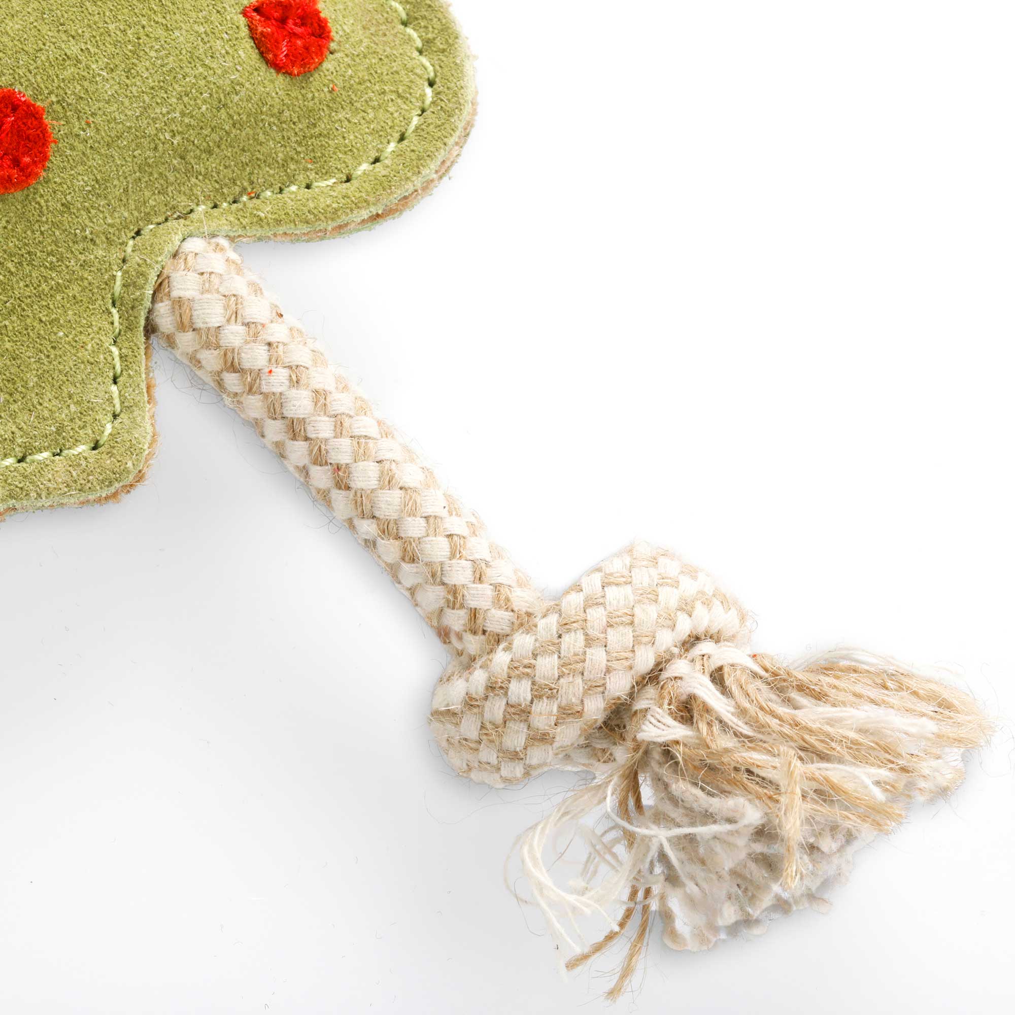 Splodge, Eco Dog Toy