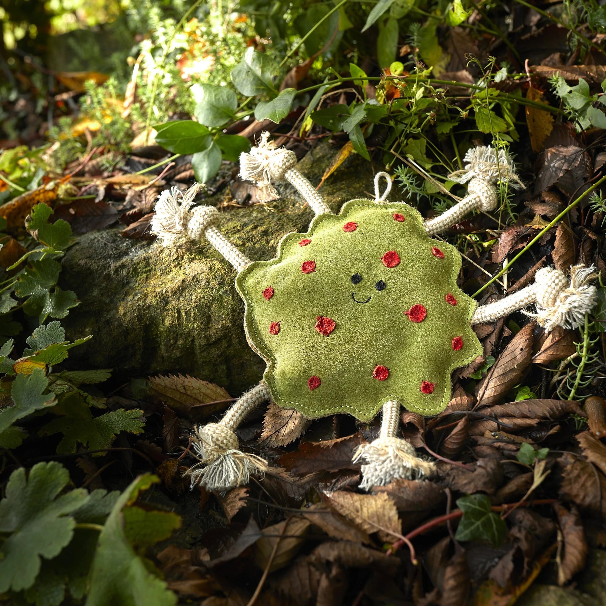 Splodge, Eco Dog Toy