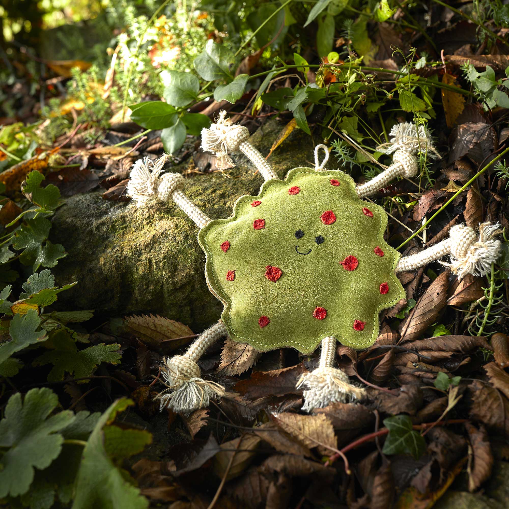 Splodge, Eco Dog Toy