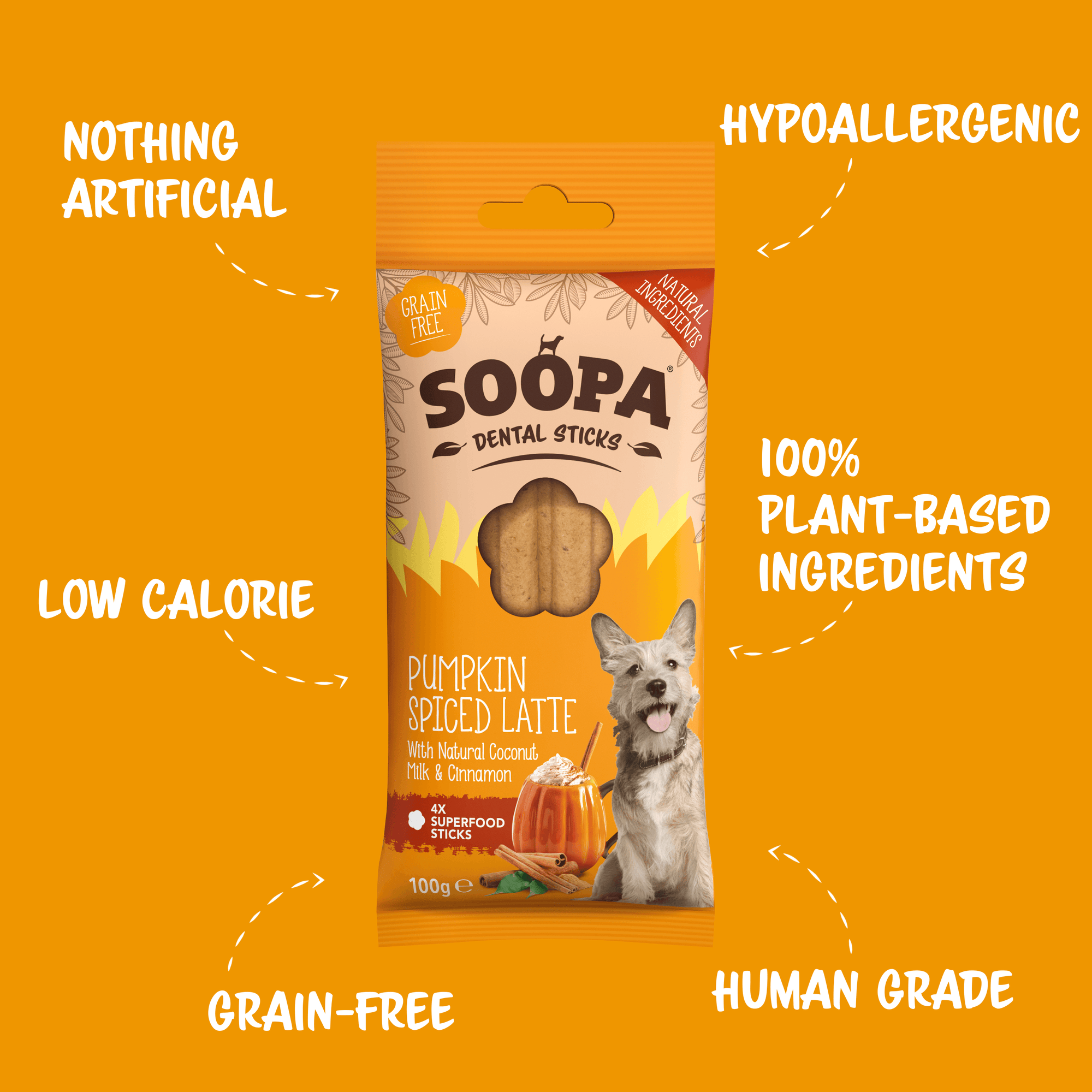 Pumpkin Spiced Latte Dental Sticks