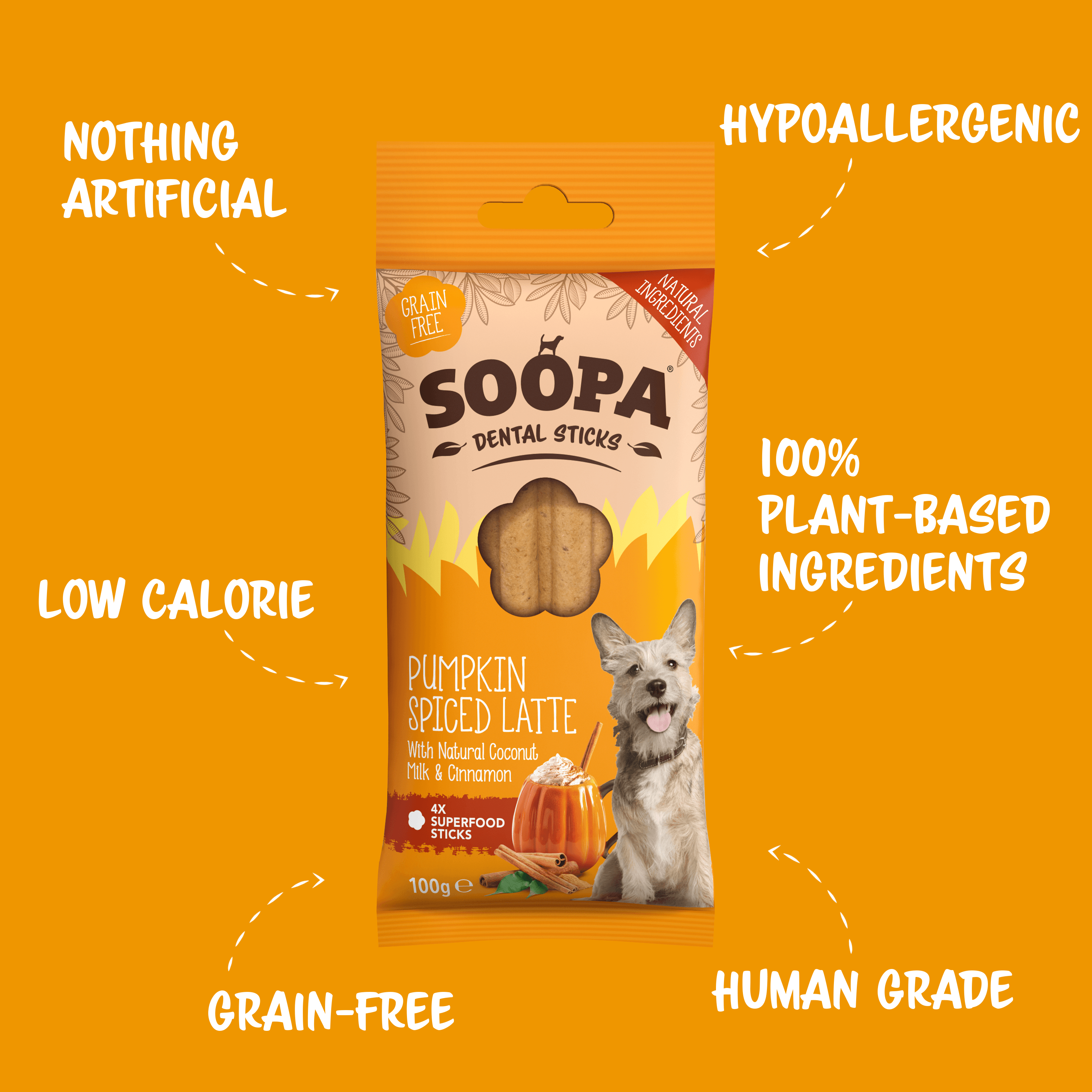 Pumpkin Spiced Latte Dental Sticks