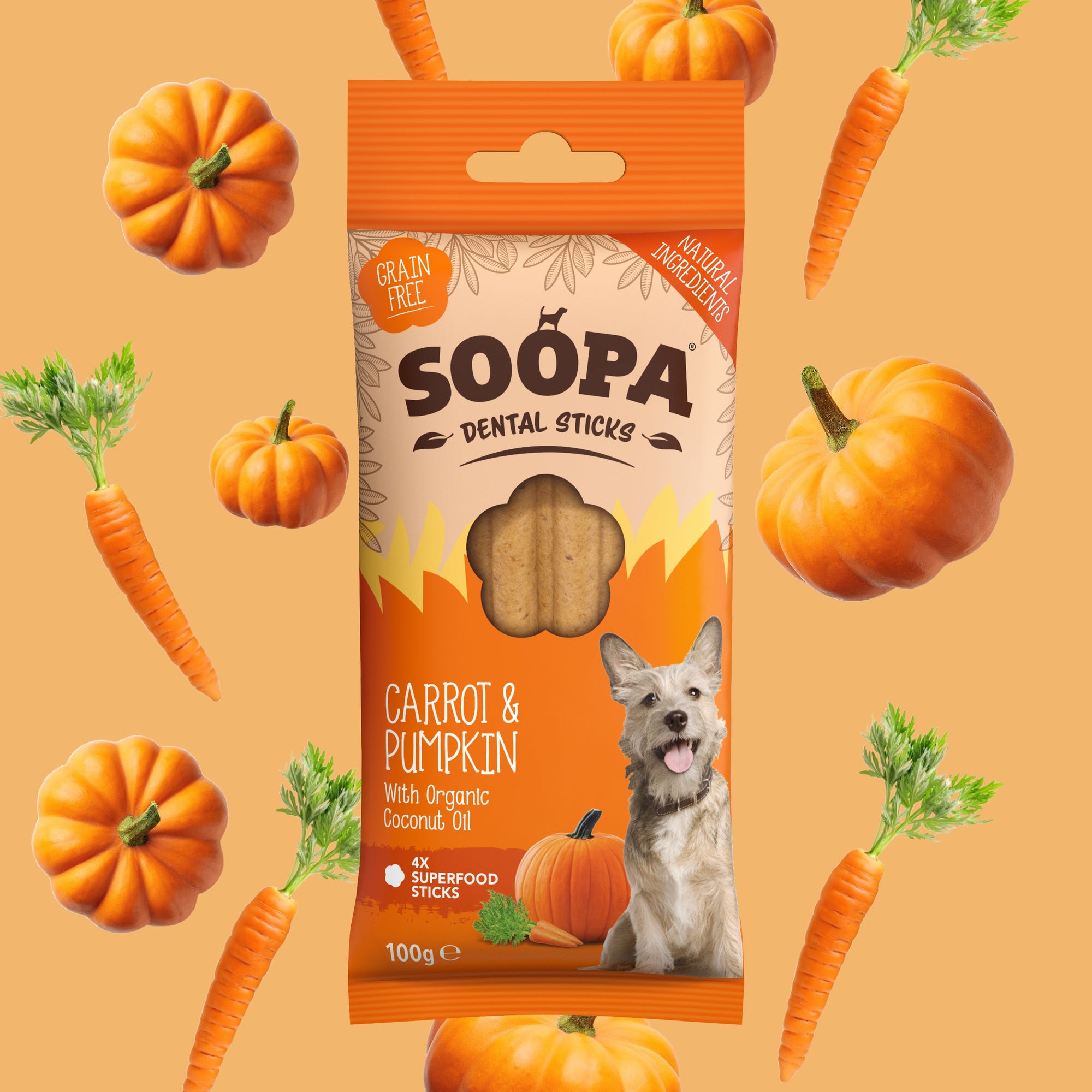 Pumpkin Spiced Latte Dental Sticks