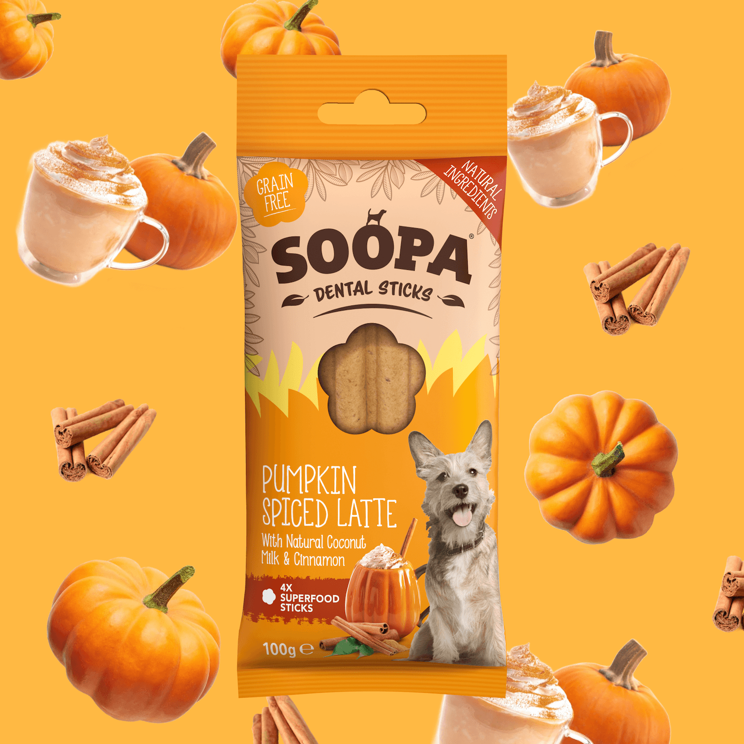 Pumpkin Spiced Latte Dental Sticks