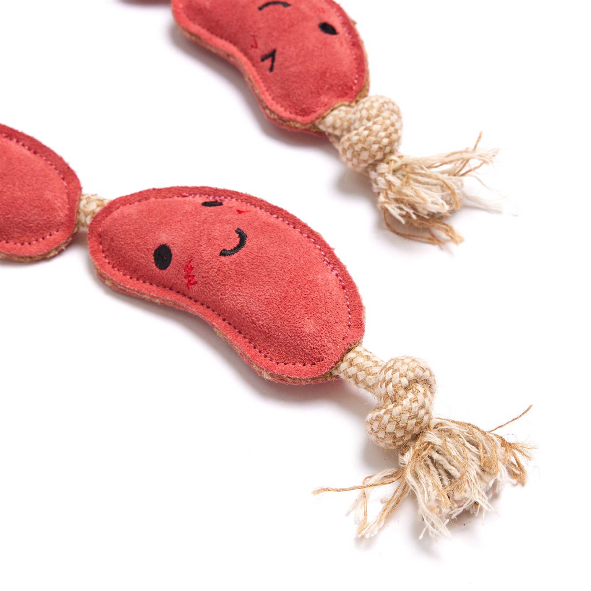 The Sizzle Sisters, Eco Dog Toy