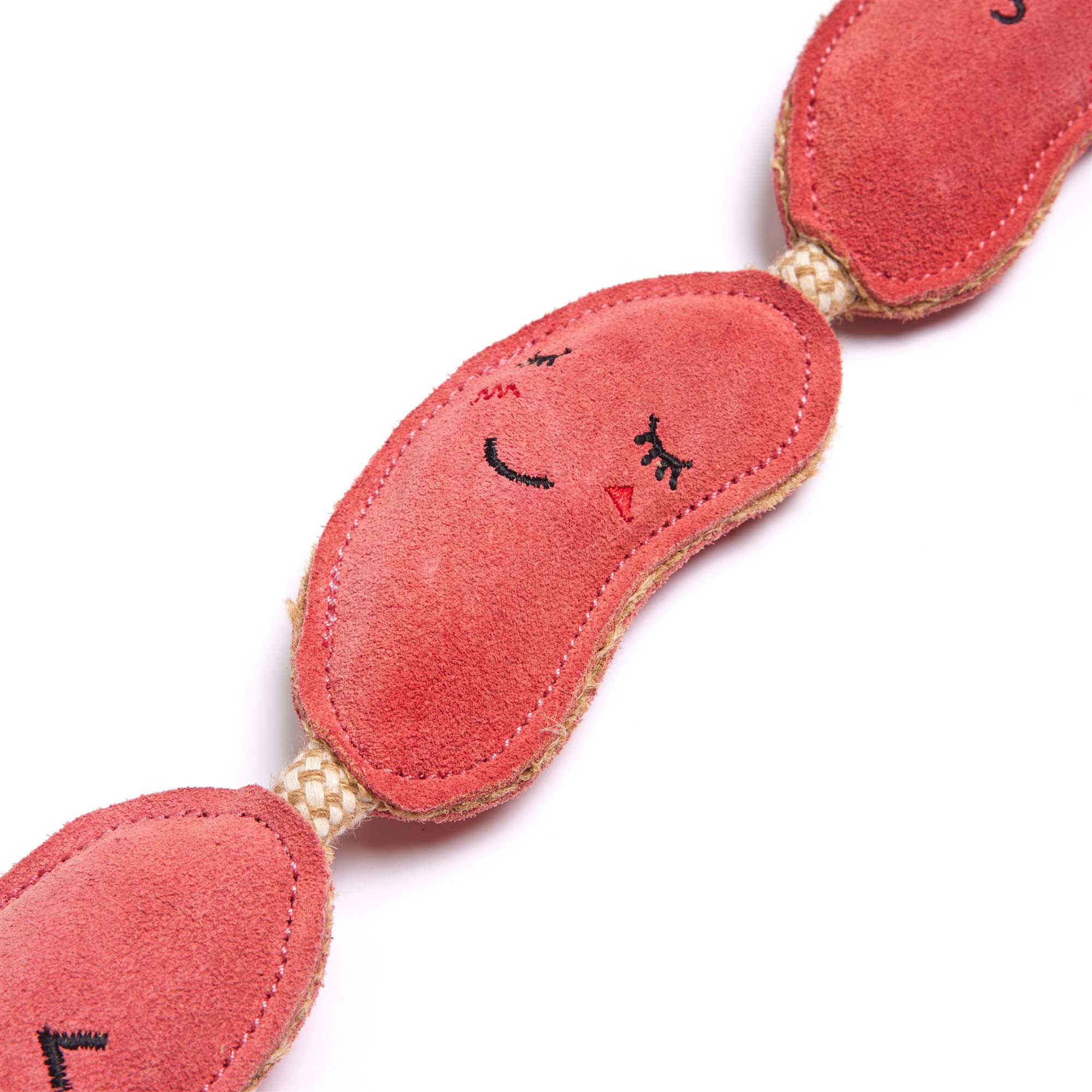 The Sizzle Sisters, Eco Dog Toy