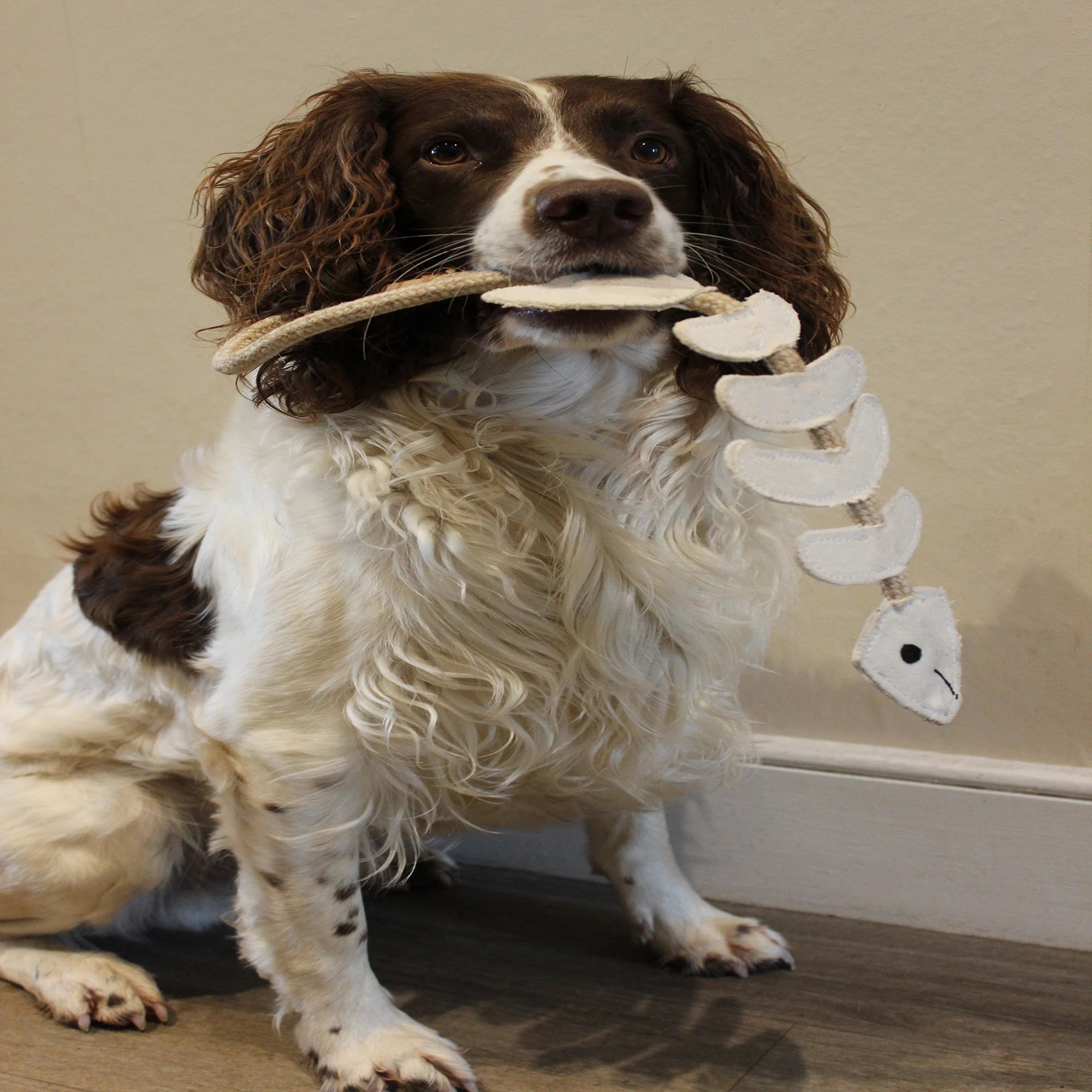 Thin Lizzie the Bonefish, Eco Dog Toy