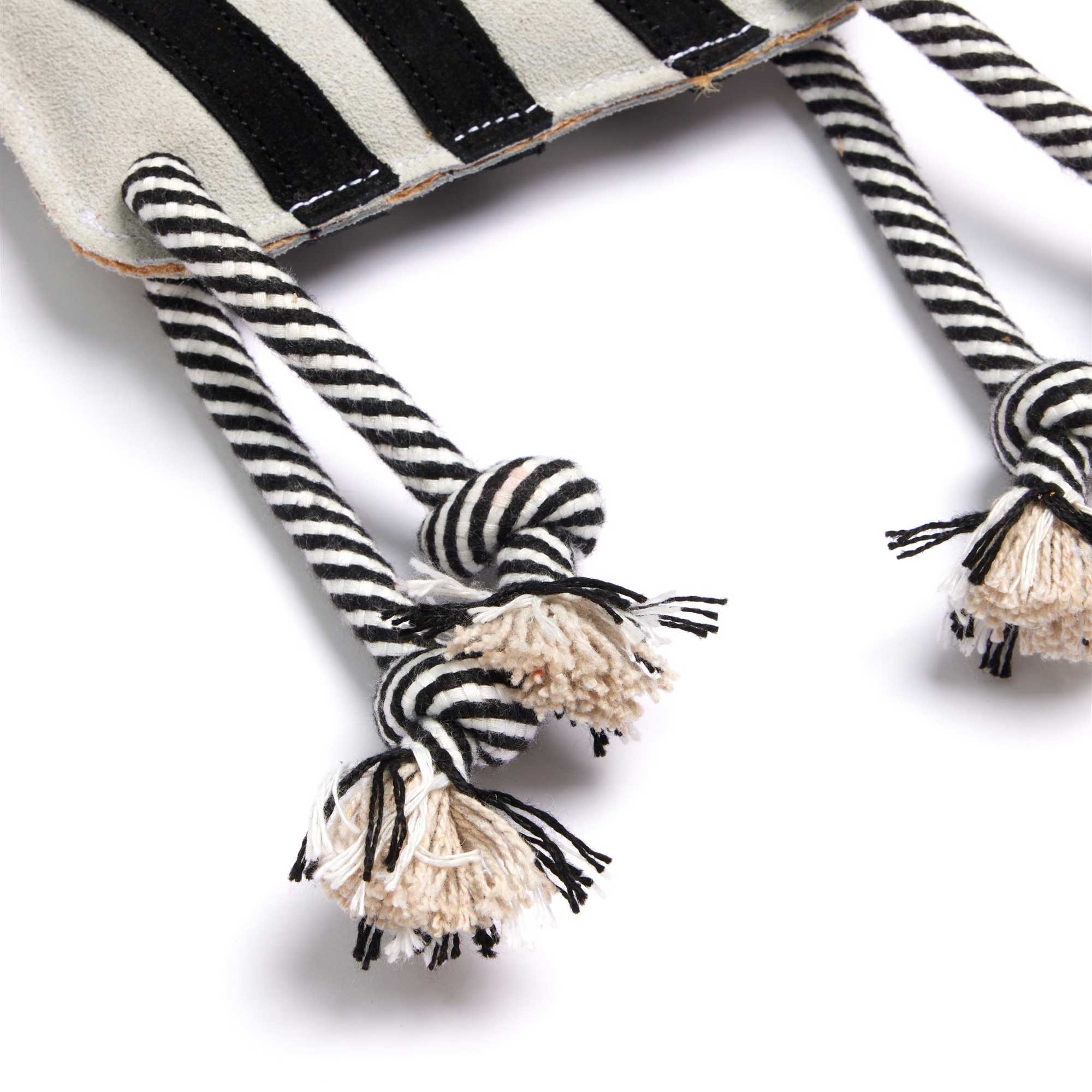 Zambezi the Zebra, Eco Dog Toy