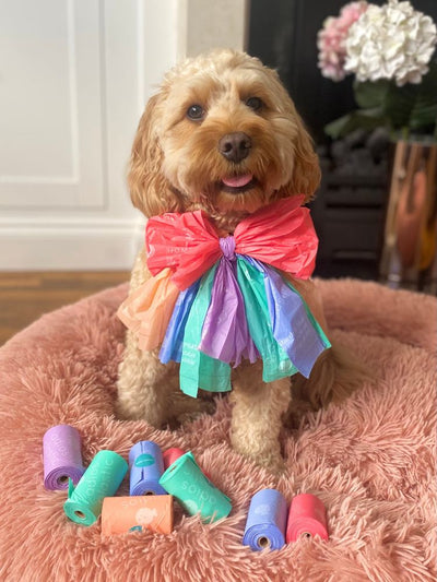 Cockapoo wearing a bow made of Adios bags