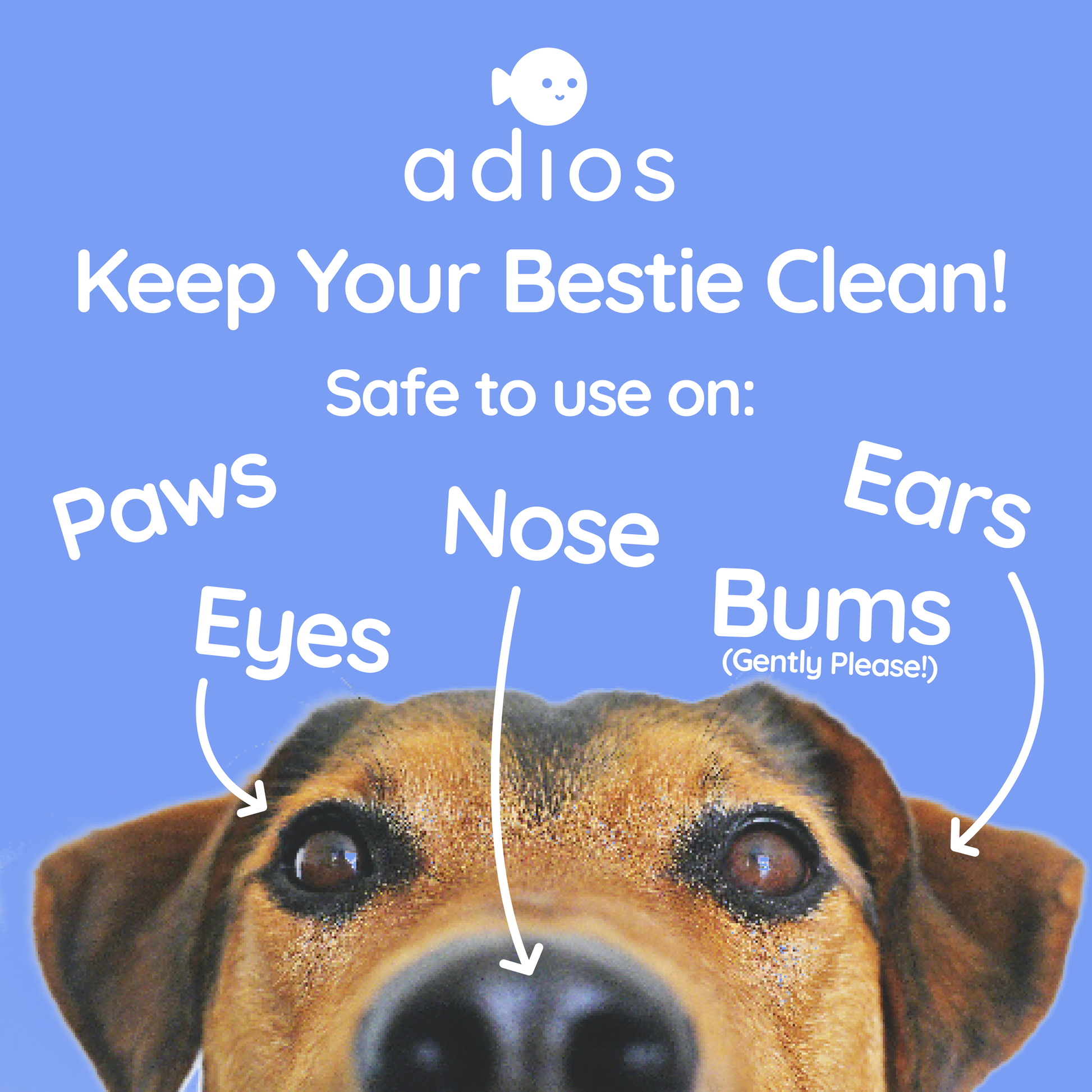 Dog wipes for sales bum