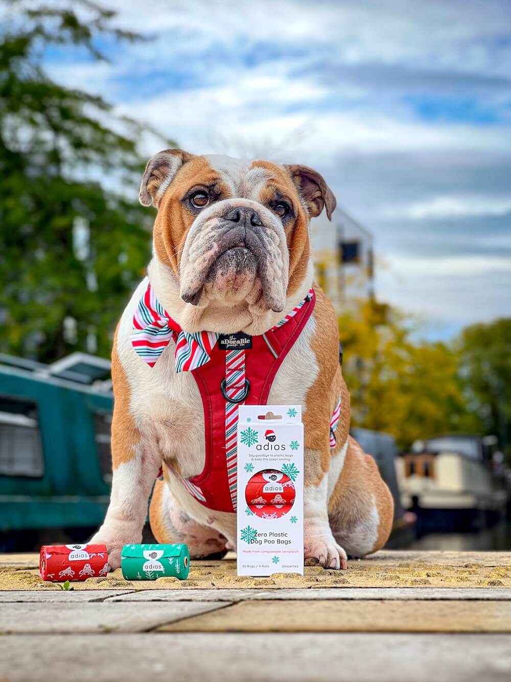 Christmas Compostable Dog Poo Bags
