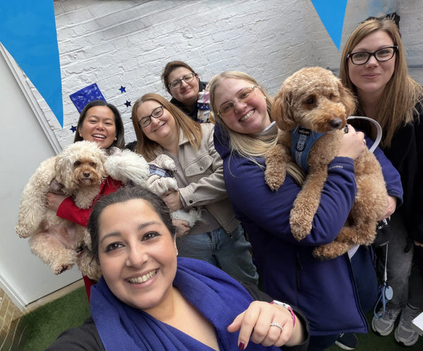 The team and dogs at the Battersea launch party