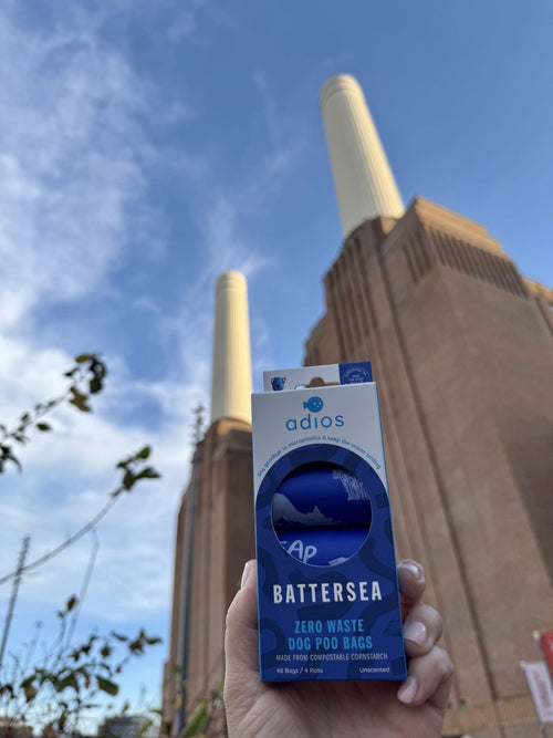 Battersea bags at Battersea Power Station