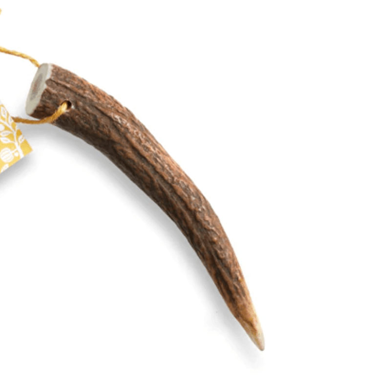 🦌 Original Antler Chew 🐾