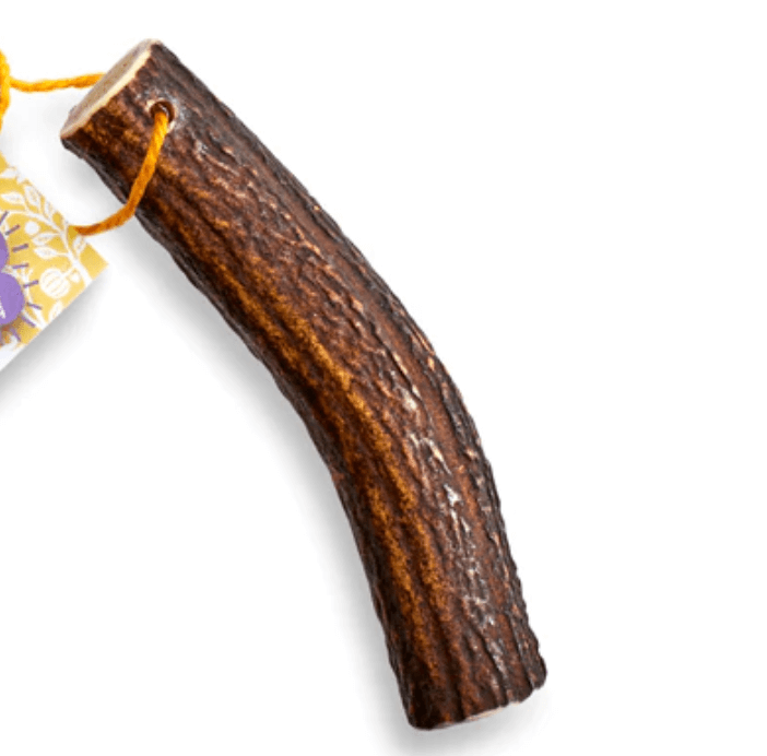 🦌 Original Antler Chew 🐾